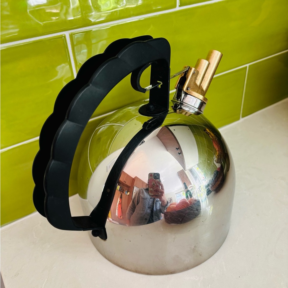Alessi 9091 stainless steel kettle with brass double barrel spout +copper bottom - Picture 5 of 10